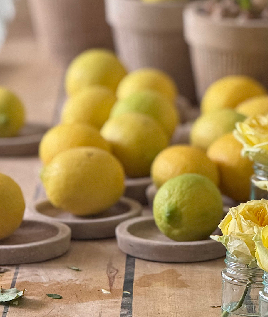 תחתיות מושלמות