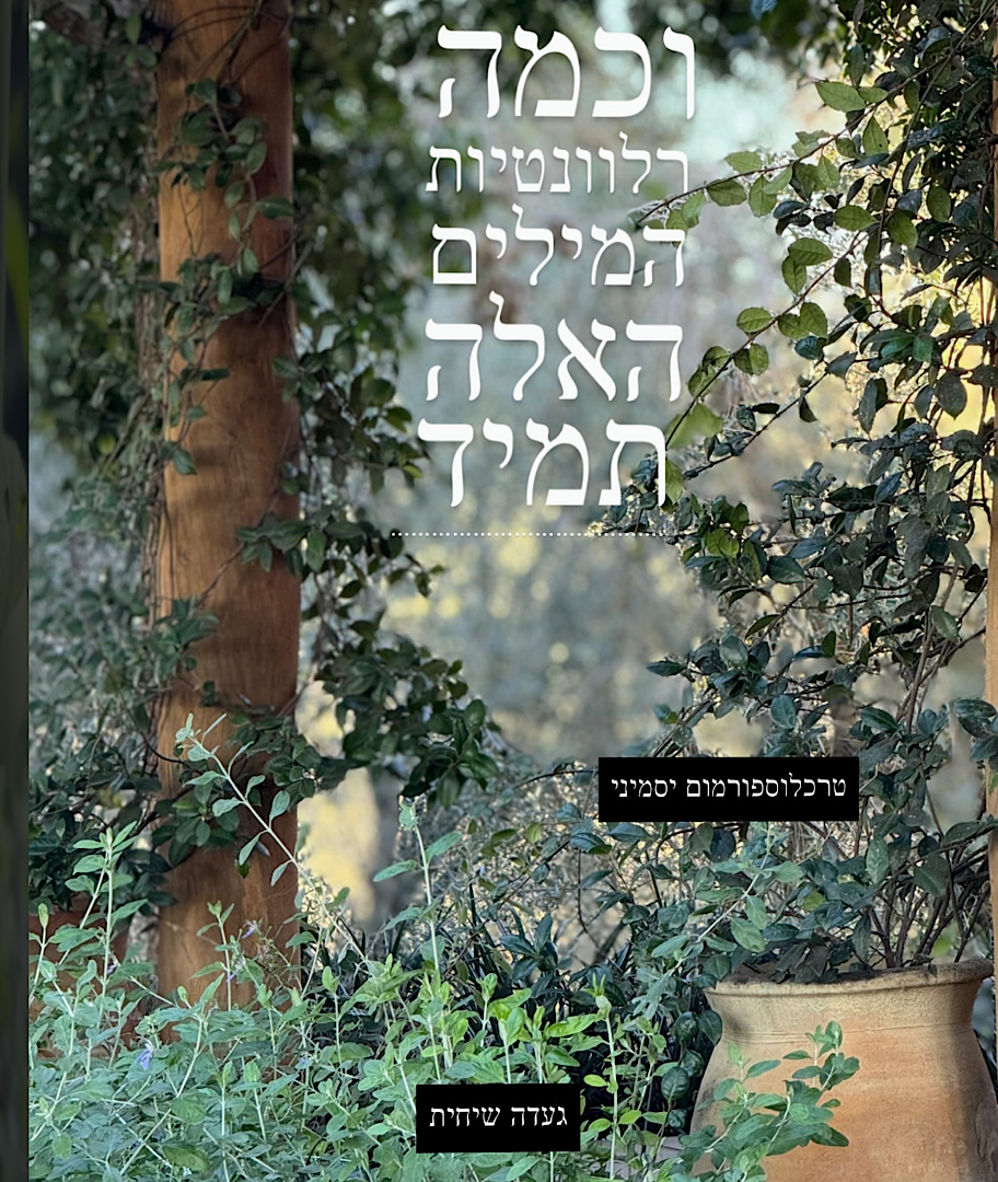 חוויה באינסטגרם שלכם