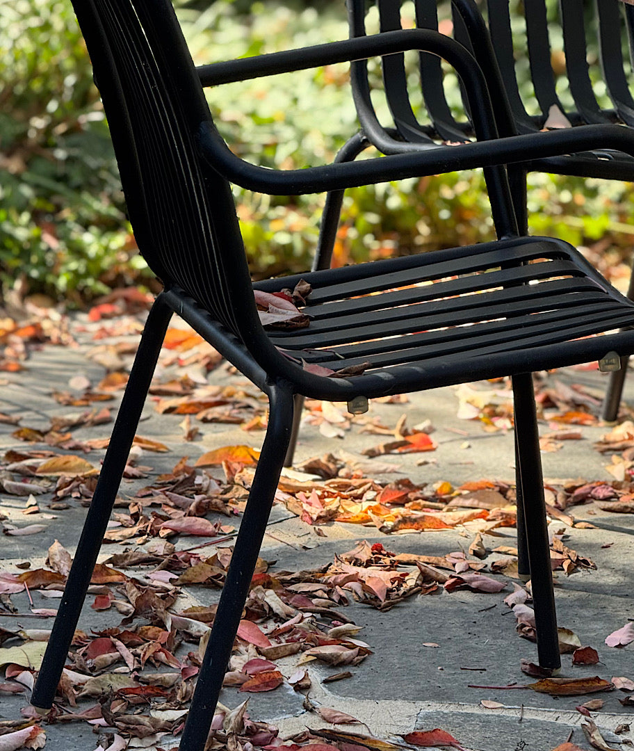 צילום ואסתטיקה