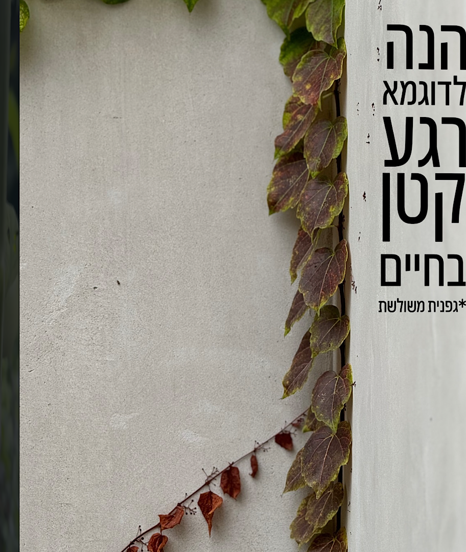 חוויה באינסטגרם שלכם