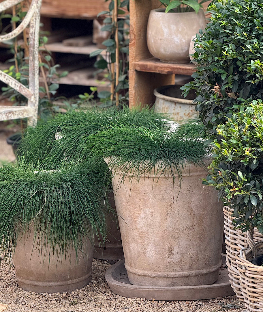 צילום ואסתטיקה