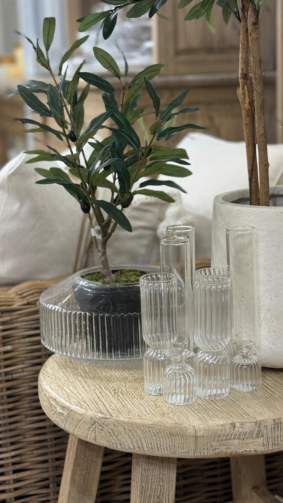 צילום ואסתטיקה בחצר