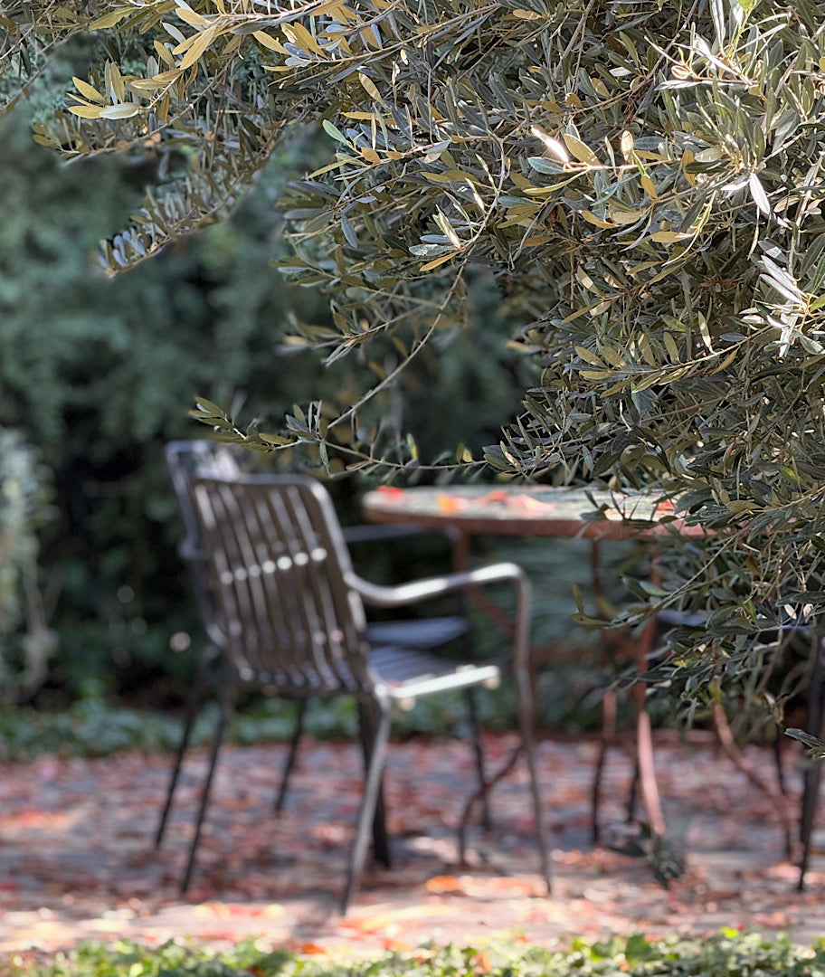 צילום ואסתטיקה