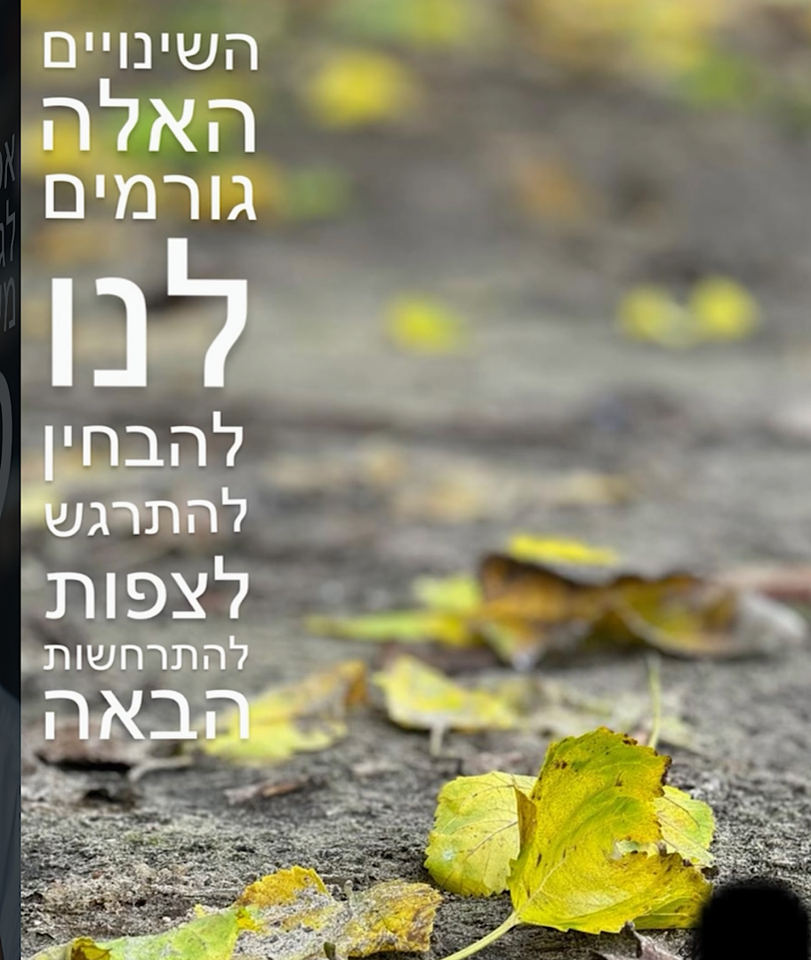 חוויה באינסטגרם שלכם