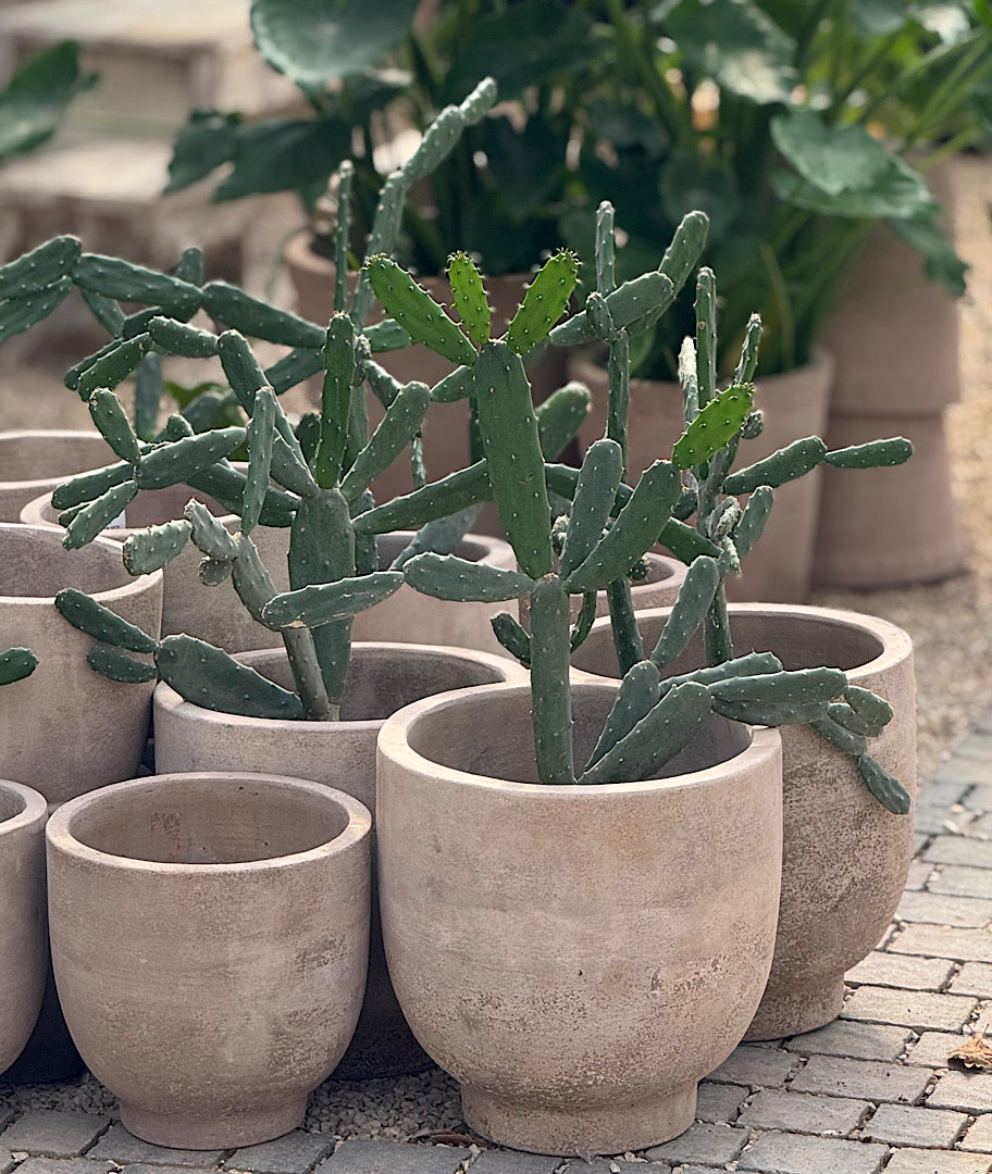 צילום ואסתטיקה