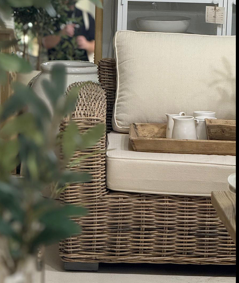 צילום ואסתטיקה בחצר