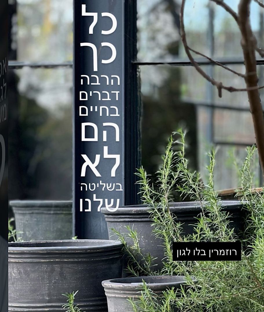 חוויה באינסטגרם שלכם