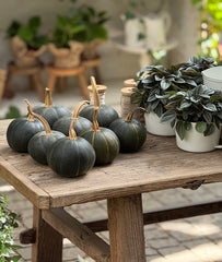 צילום ואסתטיקה