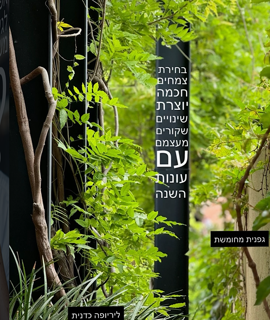 חוויה באינסטגרם שלכם