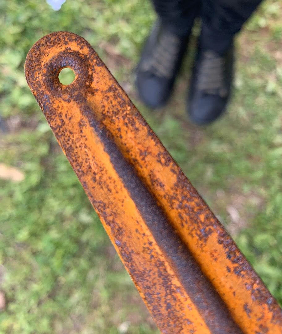 צילום ואסתטיקה בפרלמנט של עתר