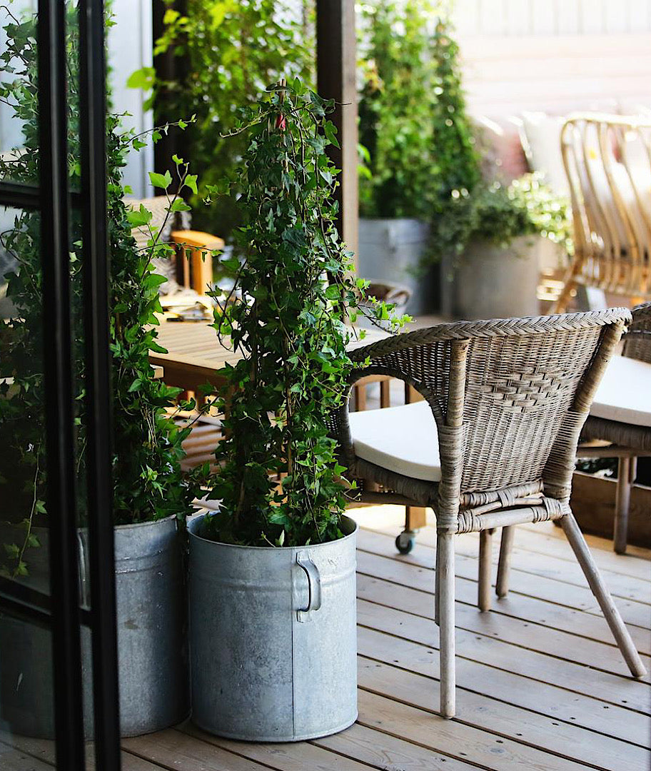 צילום ואסתטיקה בפרלמנט של עתר