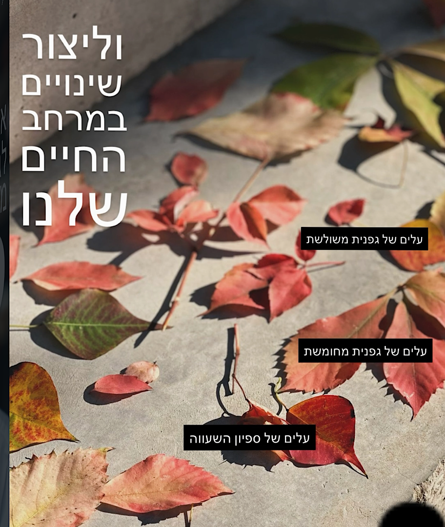 חוויה באינסטגרם שלכם