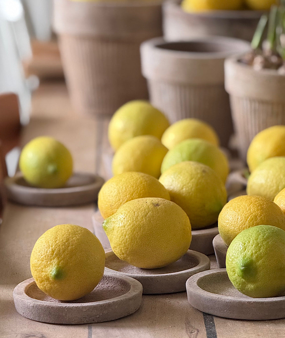 תחתיות מושלמות