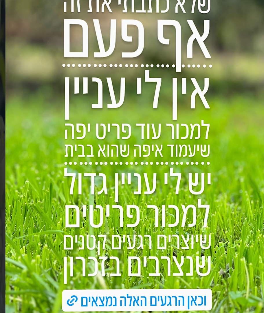 חוויה באינסטגרם שלכם