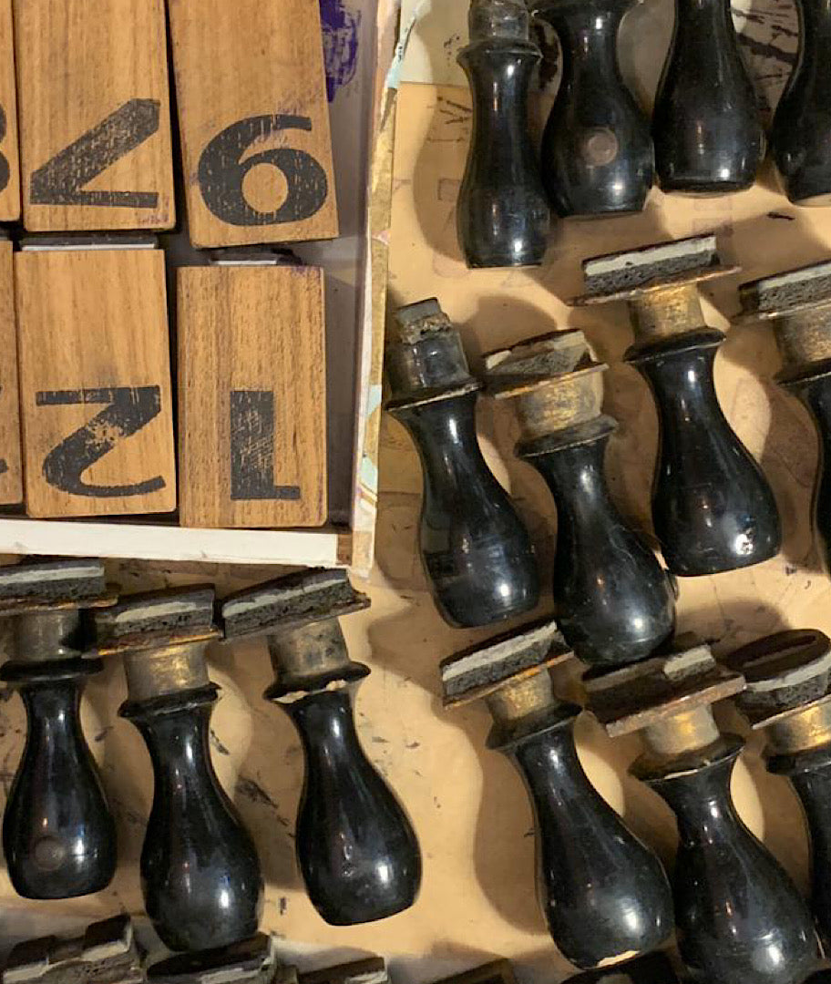 צילום ואסתטיקה בפרלמנט של עתר