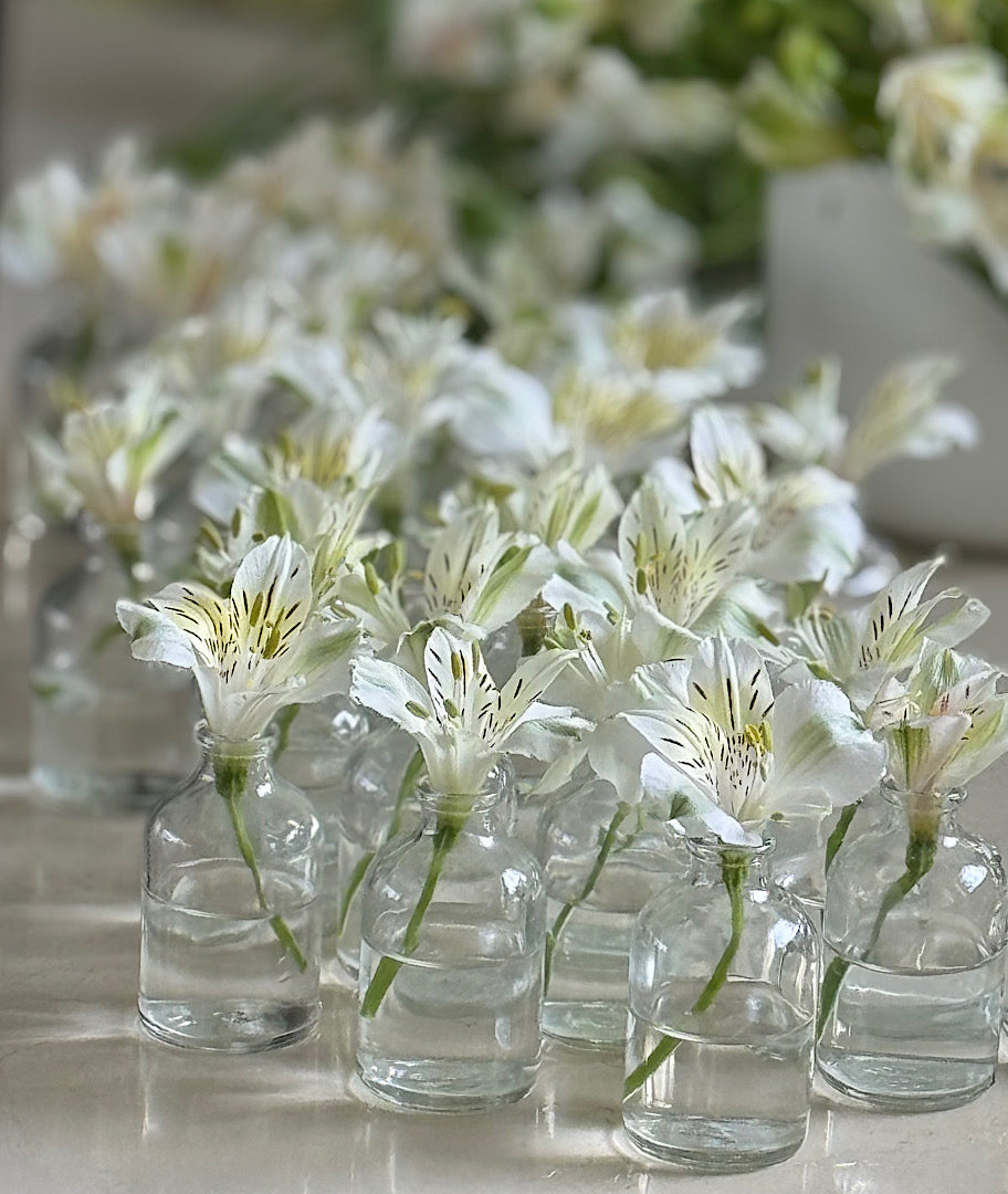 כל מה שצריך לשולחן פסח